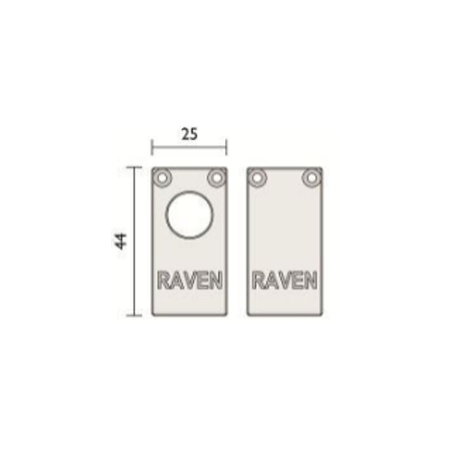 RAVA38CP2