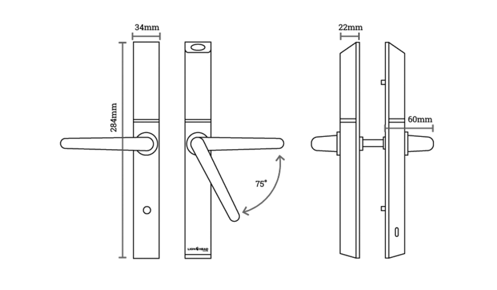Lion Head Aspen Luxe Digital Slimline Entrance Door Lock - Available in Black and Silver Finish
