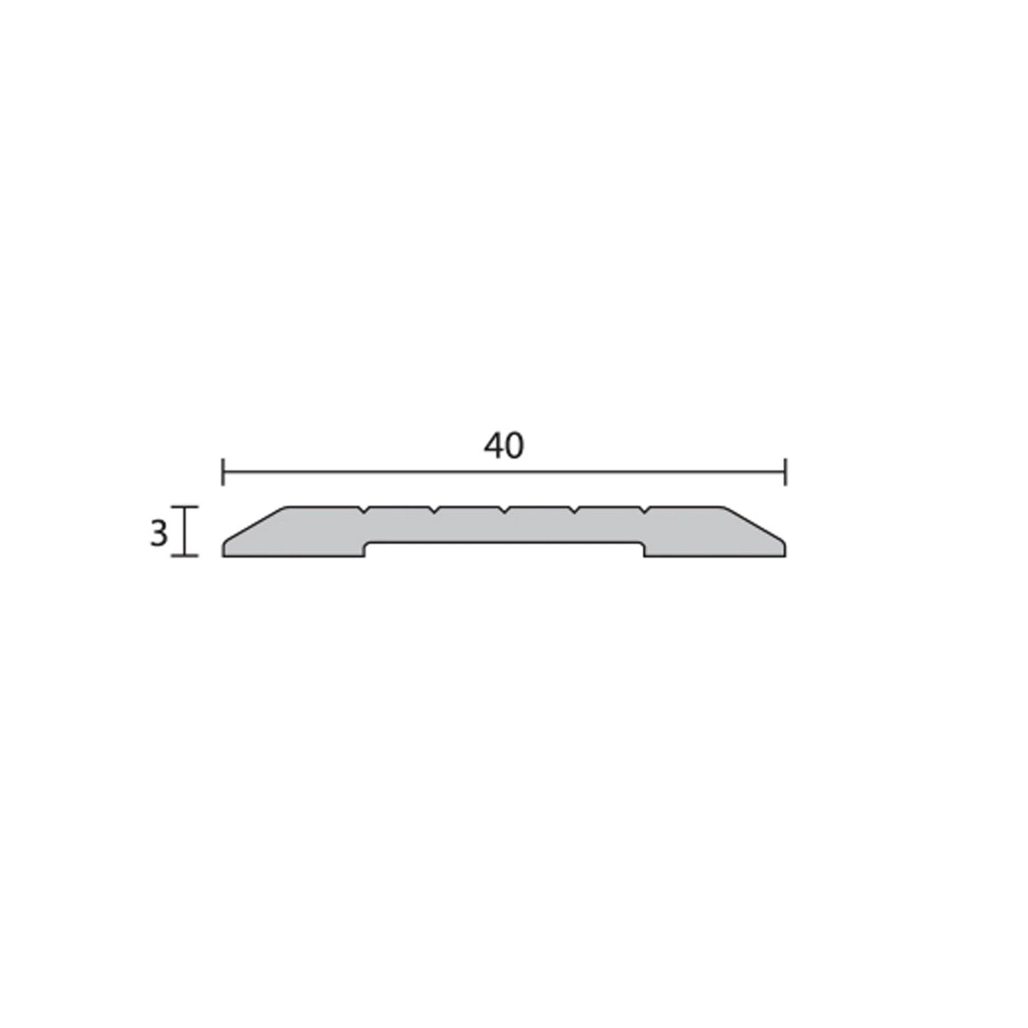 Raven RP95 Threshold Plate - Available in Various sizes & Finishes