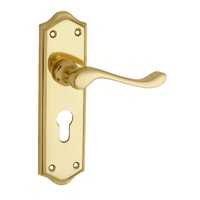 Tradco Henley Lever Handle on Shouldered Backplate Euro Polished Brass 1074E