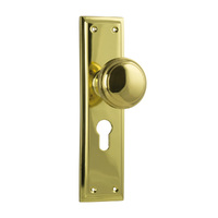 Tradco Milton Door Knob on Long Backplate Euro Unlacquered Polished Brass 21362E