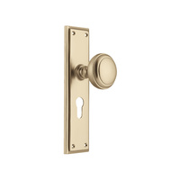 Tradco Milton Knob on Long Backplate Euro Satin Brass 6646E