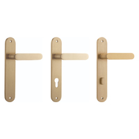 Iver Bronte Door Lever Handle on Oval Backplate Brushed Brass