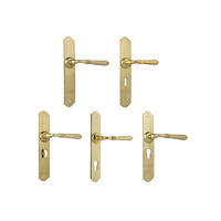 Tradco Reims Lever Door Handle on Long Backplate Polished Brass
