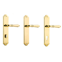 Iver Sarlat Lever Door Handle on Shouldered Backplate Polished Brass
