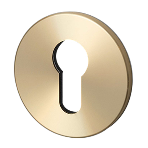 Buster and Punch Escutcheon Plate Euro Profile Brass NES-051887