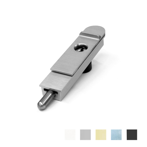 Centor DM Dropbolt for Windows Low-Profile Keyed 100mm PVD Brass DBML100KRTG