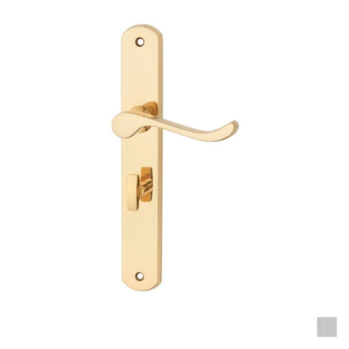 Pavtom Door Handle Scroll Lever Privacy Bathroom Plate