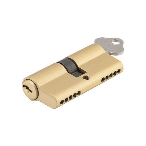 Tradco Iver Euro Double Cylinder 5 Pin 65mm Brushed and Satin Brass 21606