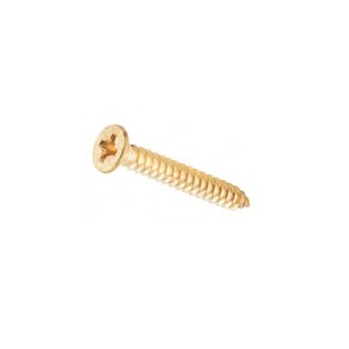 Tradco Hinge Screw Polished Brass 32x10 Pack of 50 TDSCHINGEPB32