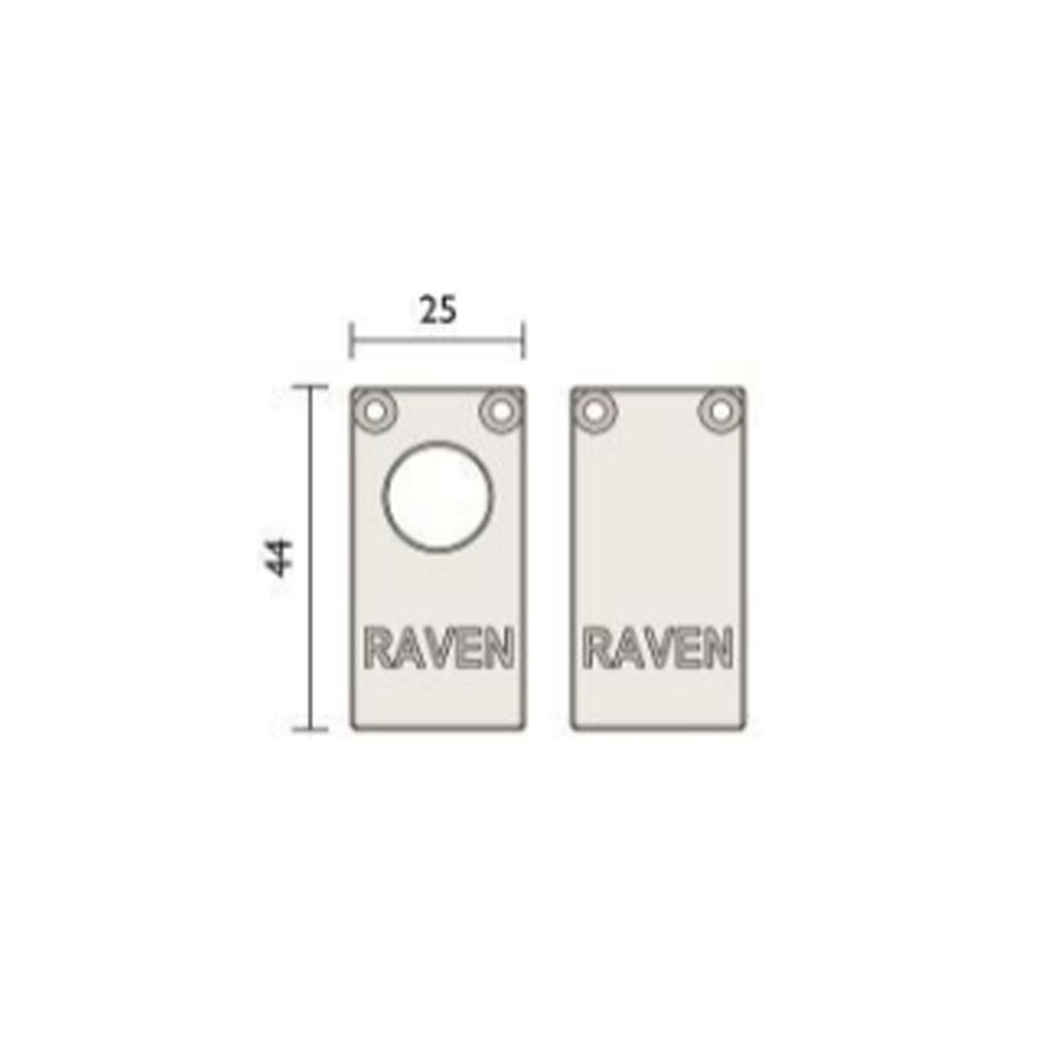 RAVA38CP2
