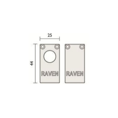 RAVA38CP2