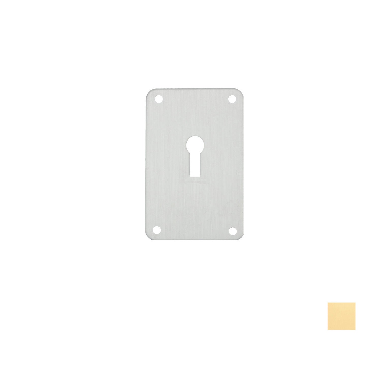 Asec Screw On UK Mortice Escutcheon - Available in Gold and Stainless Steel