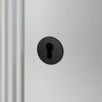 Buster and Punch Escutcheon Plate Euro Profile - Available in Various Finishes