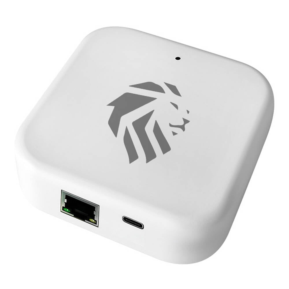 Lion Head Digital POE Gateway White LHL-GATEWAY-POE