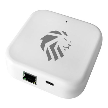 Lion Head Digital POE Gateway White LHL-GATEWAY-POE