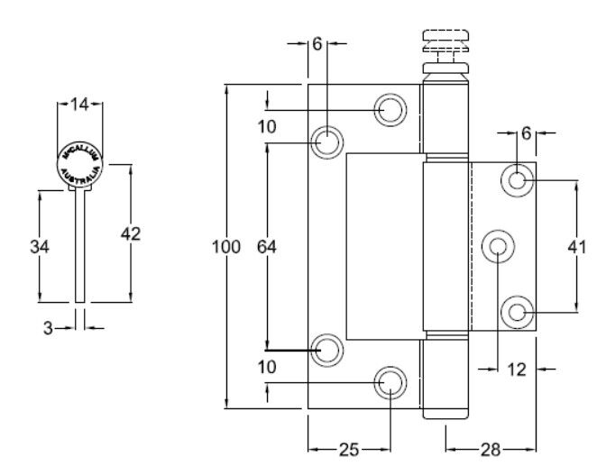MCCA173P10