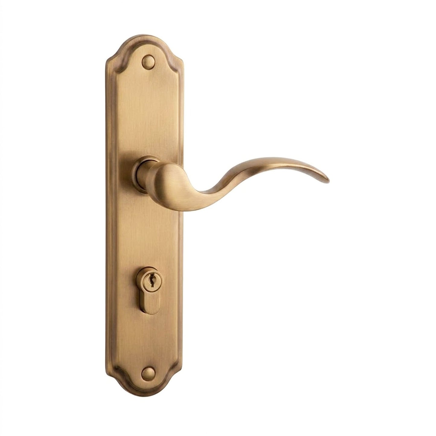 N2L365FLCRSBBP