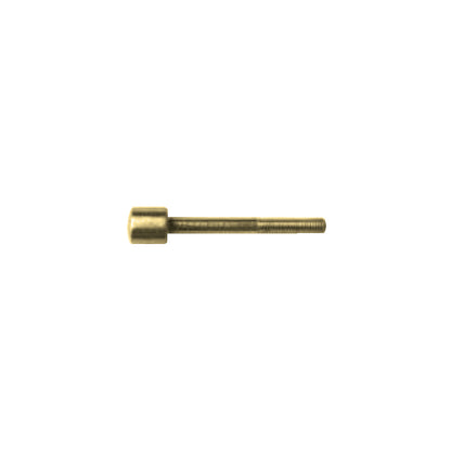 Parisi Spare Door Parts Privacy Pin Standard Polished Brass PIN01PB ...