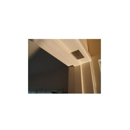 Precision Concealed Magnetic Catch PLS24SSP2 Metal Metal Stainless Steel