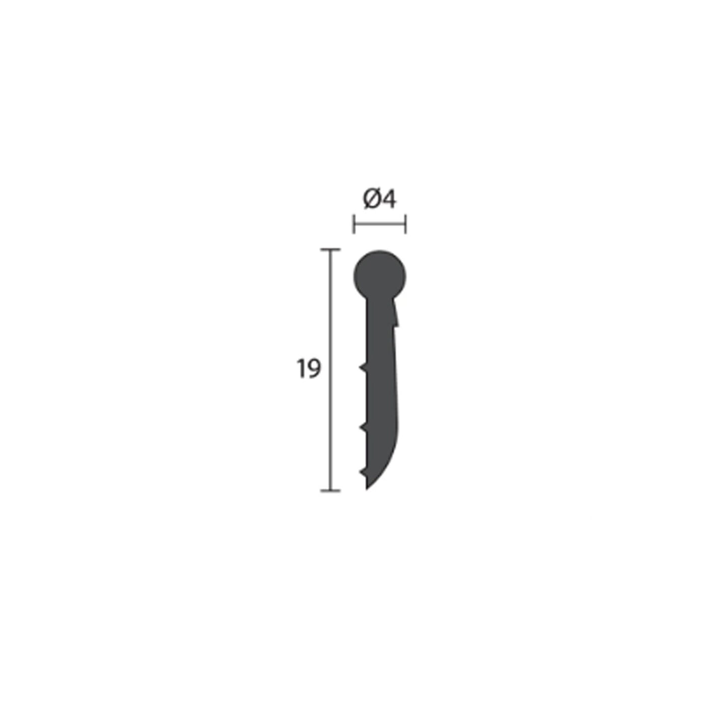 RAVA30310004M
