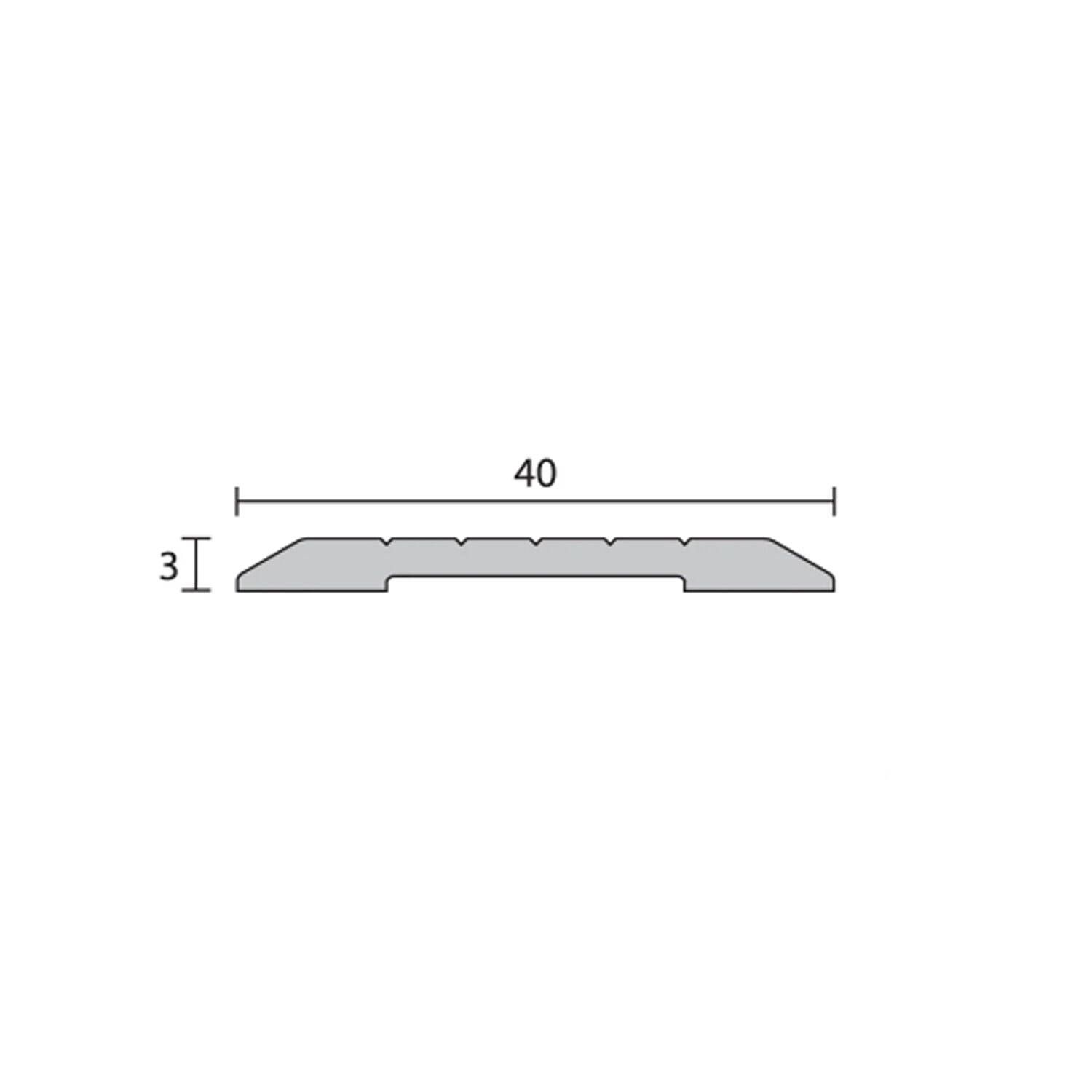 Raven RP95 Threshold Plate - Available in Various sizes & Finishes