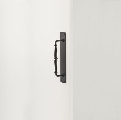 Iver Sarlat Door Pull Handle on Backplate - Available in Various Finishes