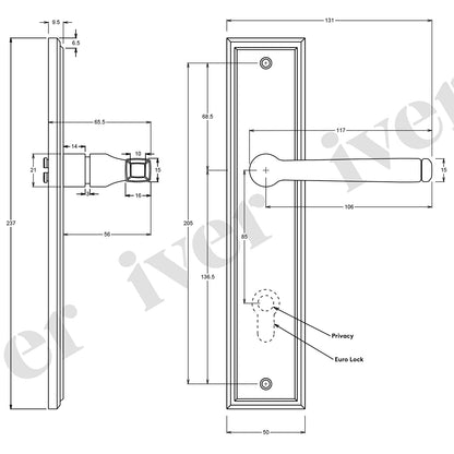 Iver Annecy Door Lever Handle on Stepped Backplate Polished Brass