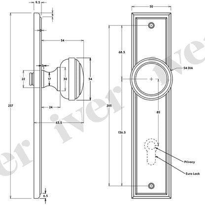 Iver Paddington Door Knob on Stepped Backplate Polished Brass