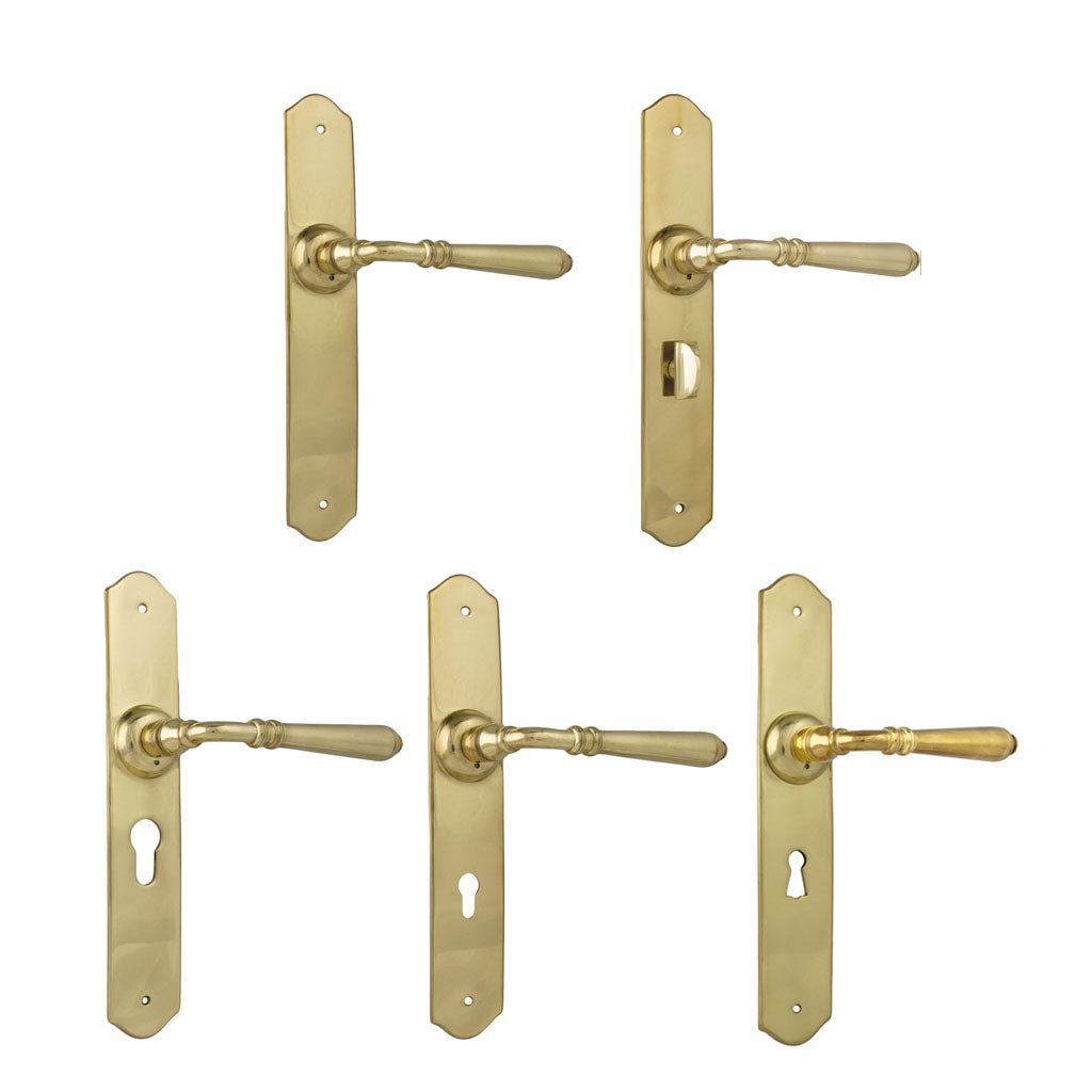 Tradco Reims Lever Door Handle on Long Backplate Unlacquered Polished Brass - Customise to you Needs