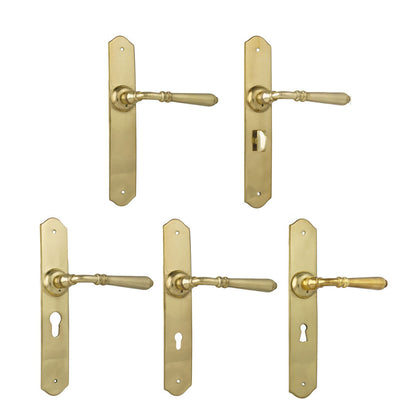 Tradco Reims Lever Door Handle on Long Backplate Unlacquered Polished Brass - Customise to you Needs