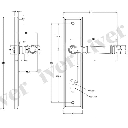 Iver Verona Door Lever Handle on Stepped Backplate Polished Brass