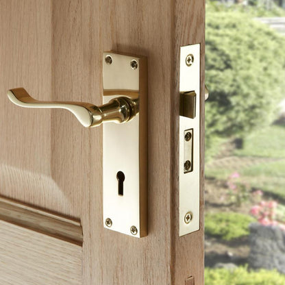 Tradco Victorian Lever Door Handle on Long Backplate Satin Chrome