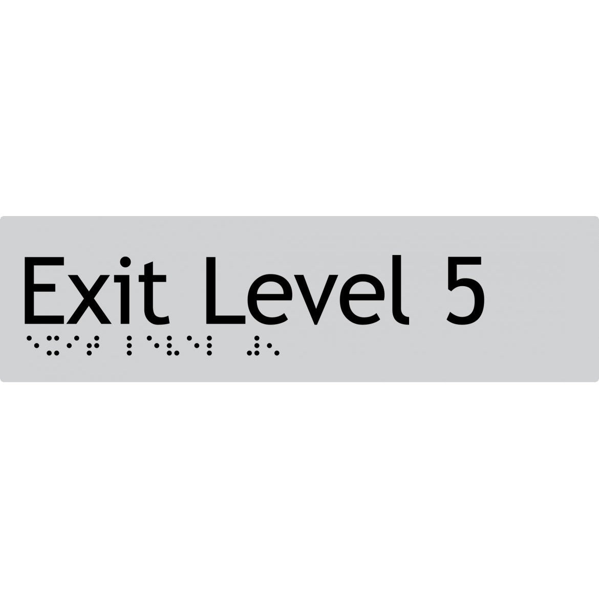 TSML5SILVER