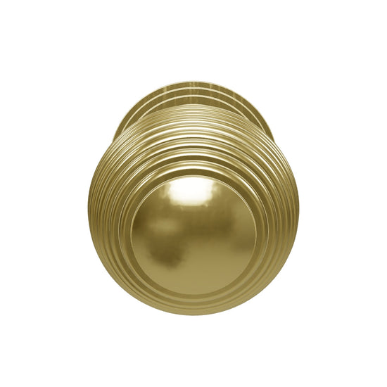 BAN0254